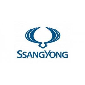 Megalock PRO для SSANG YONG